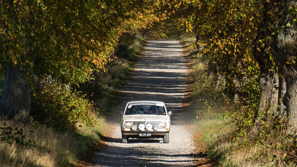 Ægteparret Henning og Else Friborg fra Them kunne køre frit i Rally Monte Carlebo Classic, da de allerede i femte afdeling sikrede sig Danmarksmesterskabet i Expert klassen.
(Foto: Viggo Johansen, rallypics.dk)